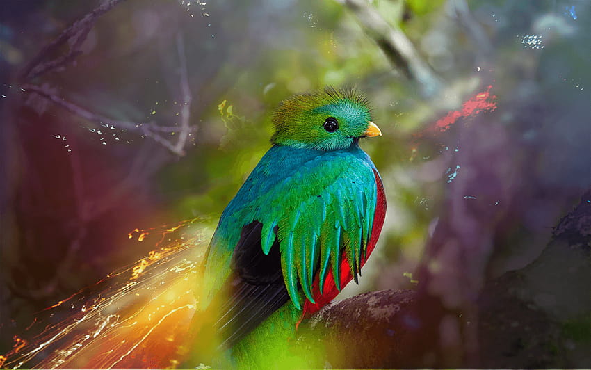Best 5 Quantal Quetzal on Hip HD wallpaper