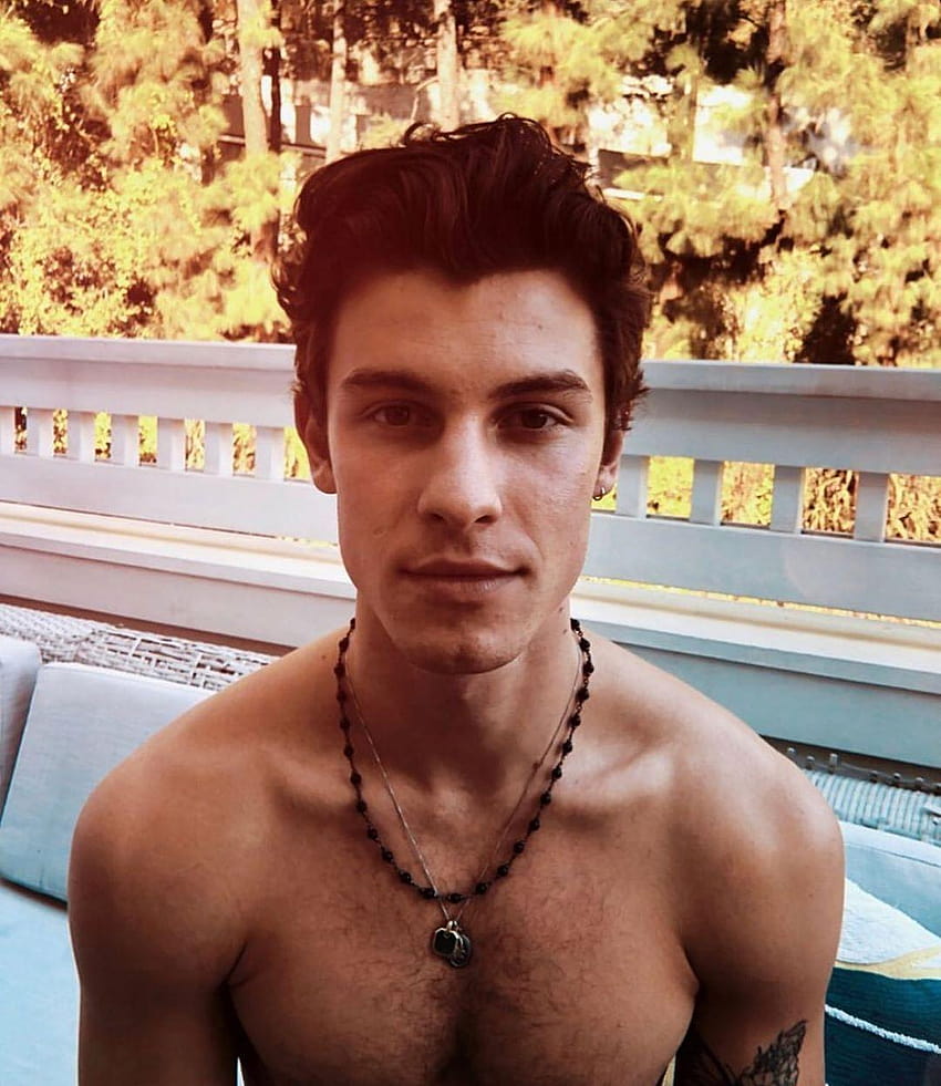 Alexis_Superfan's Shirtless Male Celebs: Shawn Mendes, shawn mendes shirtless HD phone wallpaper