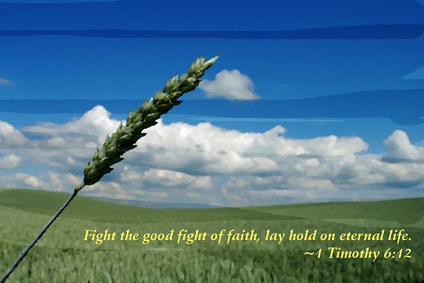 Motivational on Life: Fight the good fight of faith lay HD wallpaper
