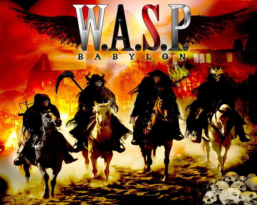 Wasp HD wallpaper | Pxfuel