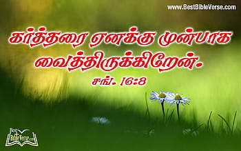 Tamil bible HD wallpapers  Pxfuel