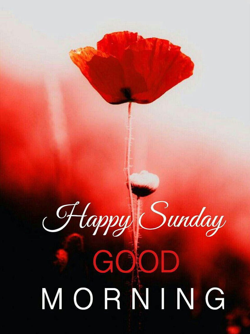 Bhavana Kaparthy on .Wishes, good morning sunday HD phone ...