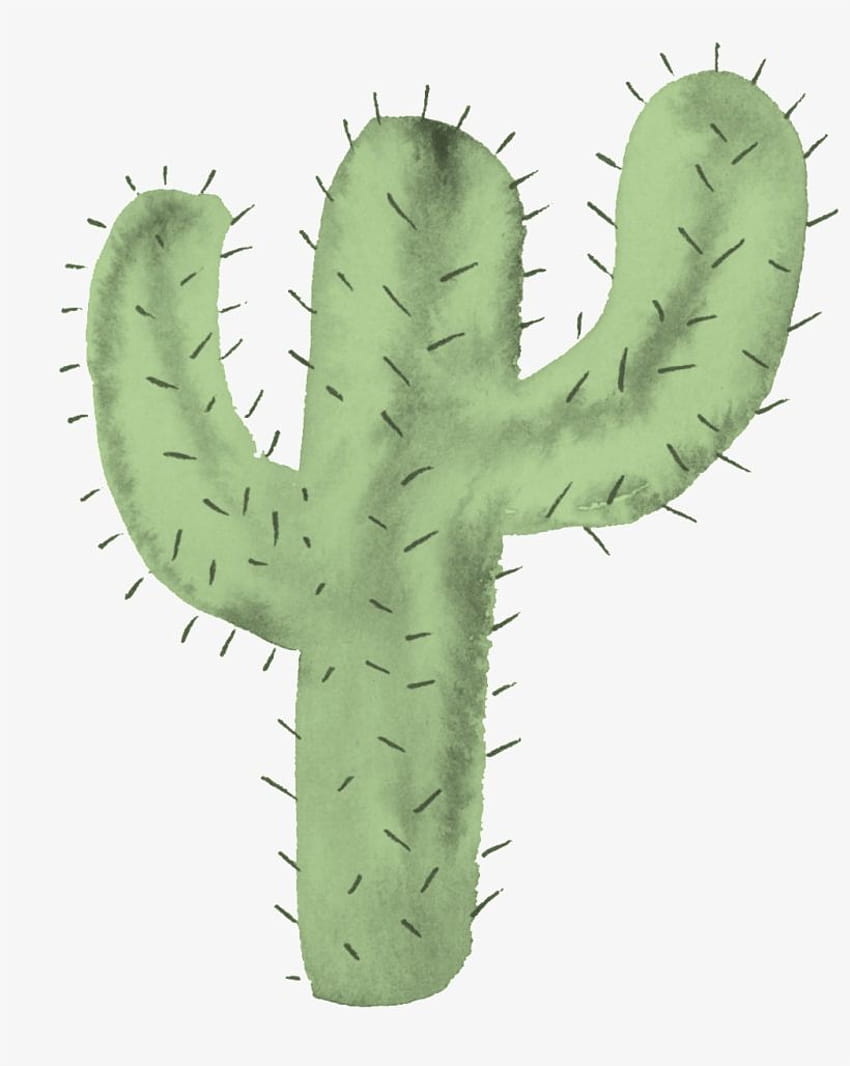 Aesthetic Cute Cartoon Cactus, watercolor cactus aesthetic HD phone wallpaper