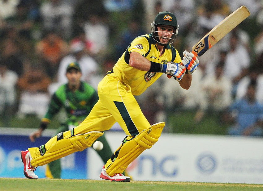 Cricket: Australia's Mike Hussey calls Test stumps at 37, michael hussey HD wallpaper
