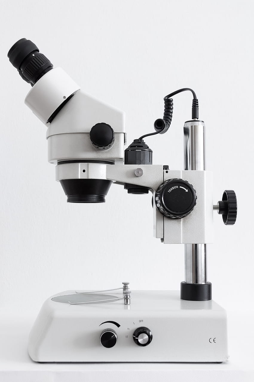 75 Microscopio [], teléfono microscópico fondo de pantalla del teléfono
