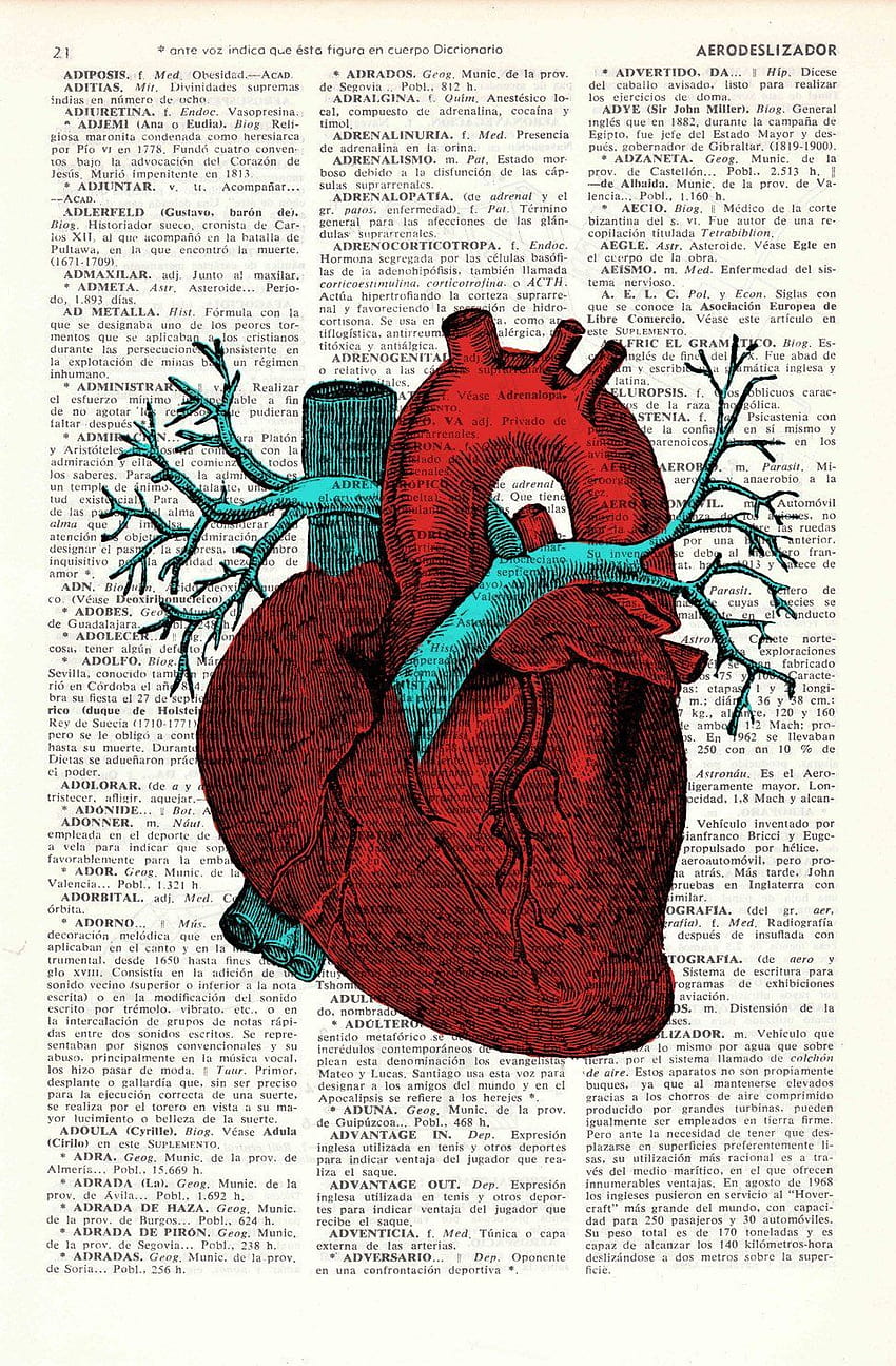 Human Heart Wall art Anatomie étude printMedicine art Print, real heart Fond d'écran de téléphone HD