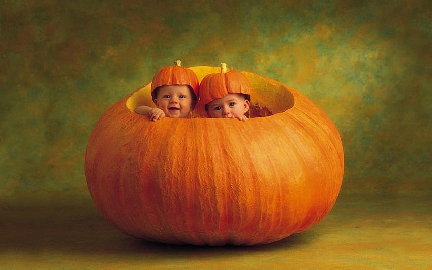 Babies in a Pumpkin 1920x1200 , 1920x1200, halloween babies HD wallpaper