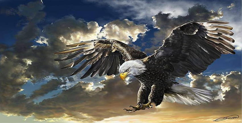 eagles backgrounds HD wallpaper