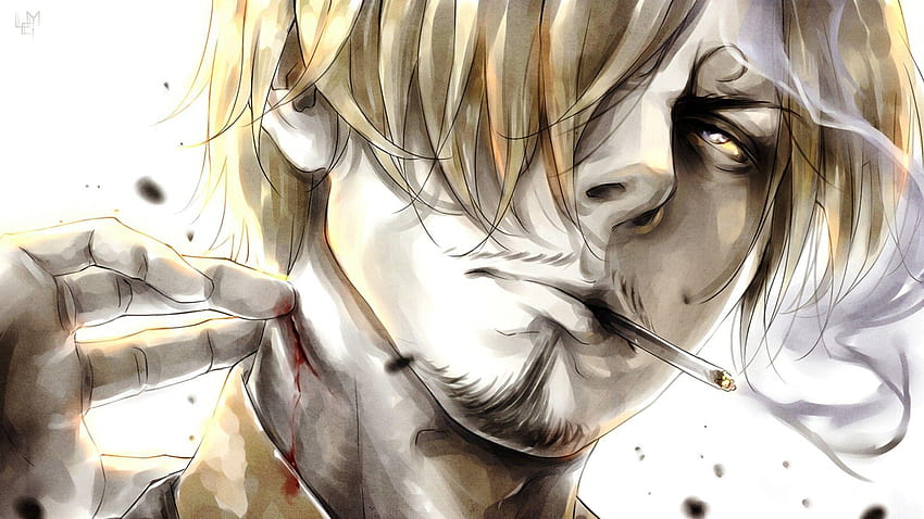 sanji fondos de pantalla nuevo mundo