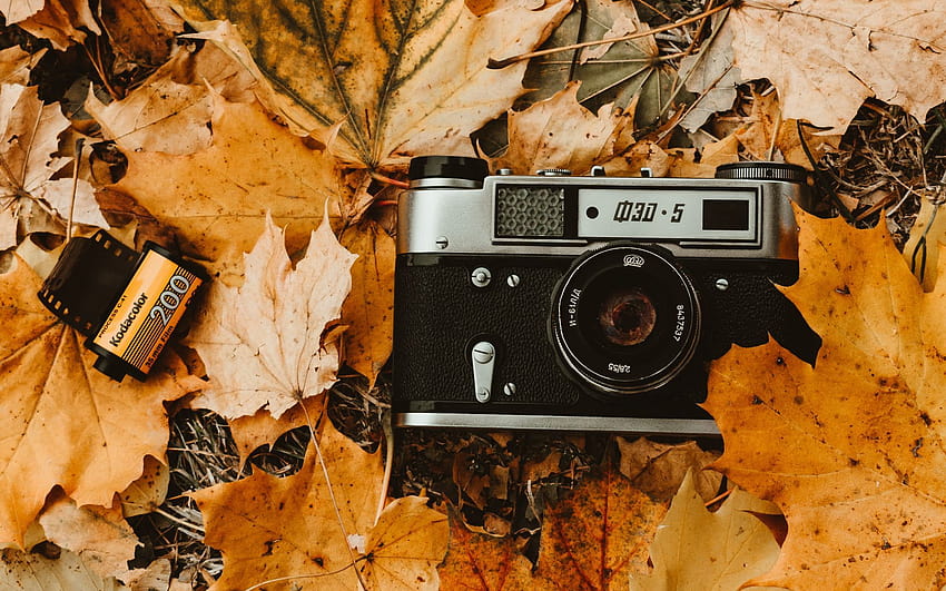 1920x1200 camera, autumn, foliage, retro, vintage, graphic film 16:10 ...