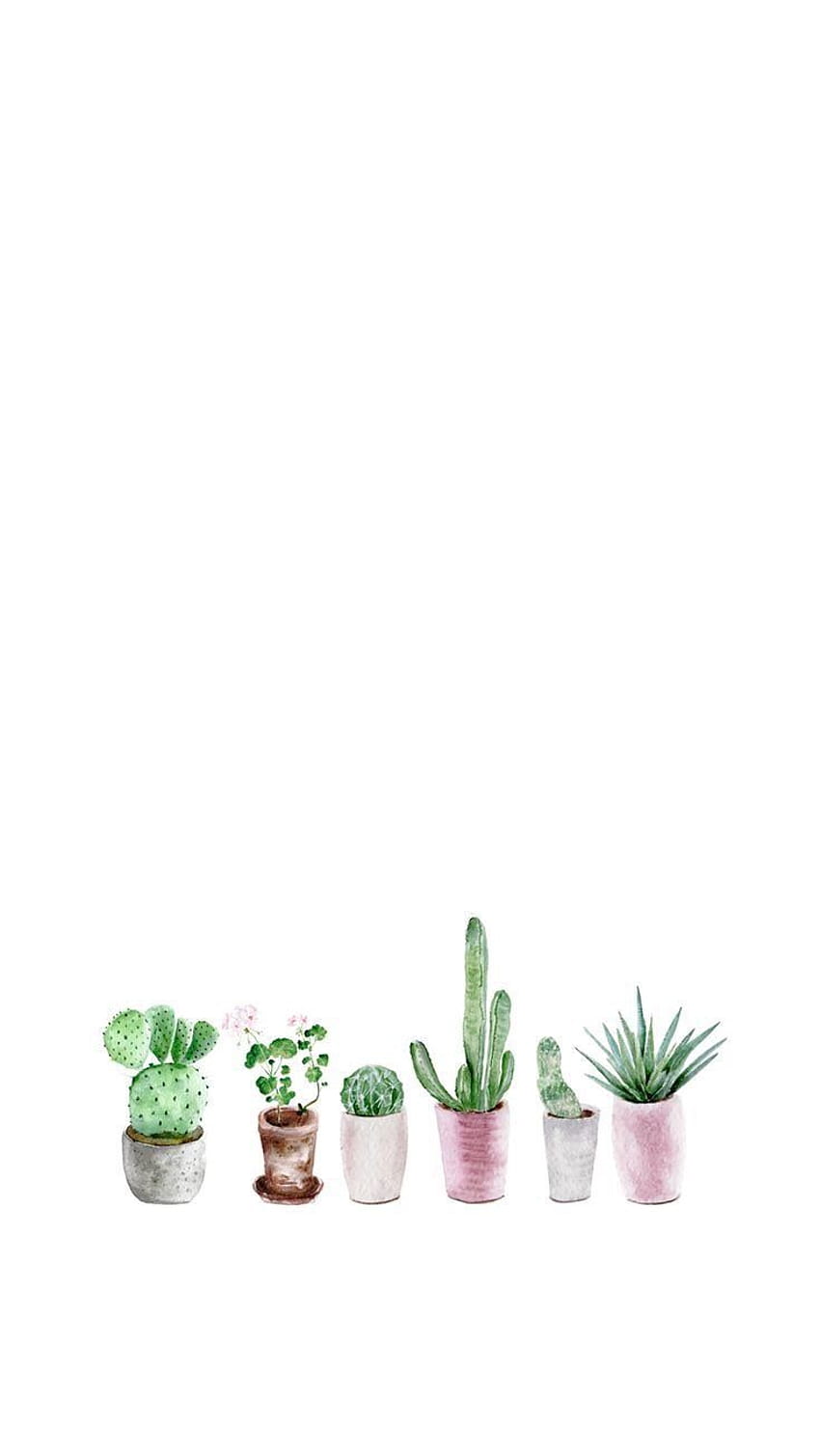 iPhone and Android : Succulent Watercolor for iPhone and Android, minimalist succulent HD phone wallpaper