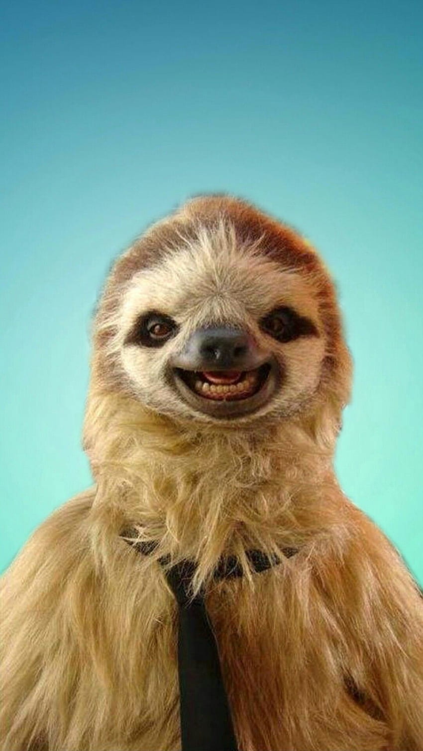 cute sloths HD phone wallpaper