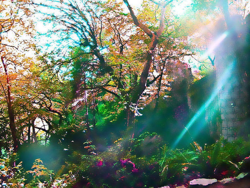 fairytale house autumn HD wallpaper