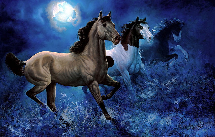 der Himmel, Blick, Licht, Nacht, Pose, Dunkelheit, der dunkle Hintergrund, Blau, der Mond, Figur, Grafik, Pferde, die Atmosphäre, Pferd, Kunst, Abschnitt живопись HD-Hintergrundbild
