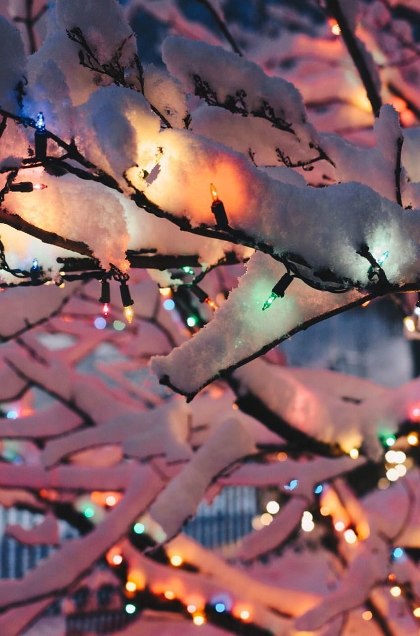 Cozy Winter Aesthetic, aesthetic winter vibes HD phone wallpaper