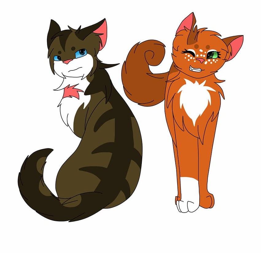 Drawings Of Warrior Cat Hawkfrost