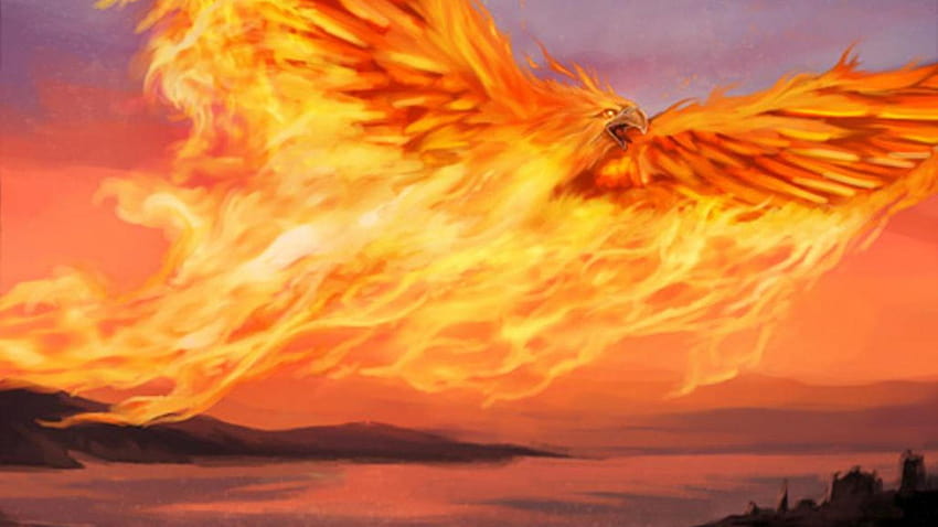 2 Phoenix Boat HD wallpaper | Pxfuel