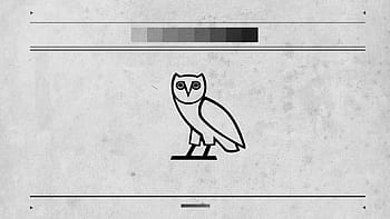 Page 6 | ovo owl HD wallpapers | Pxfuel