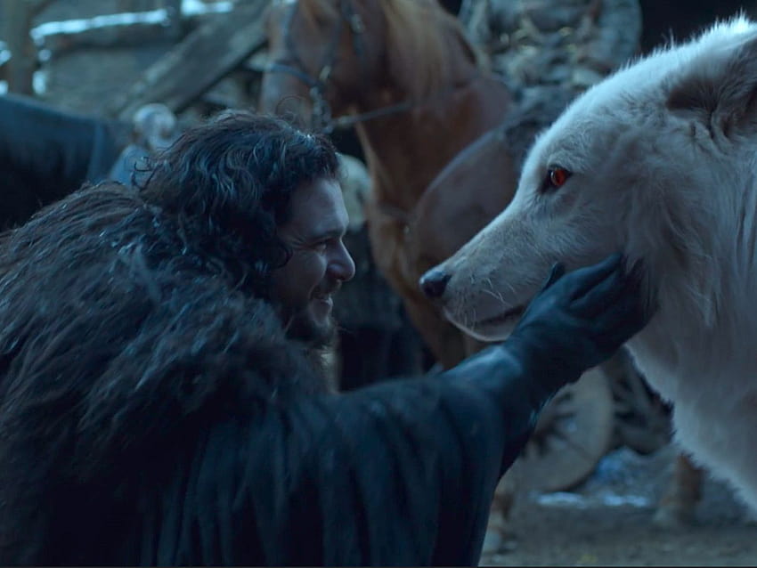 Final da série Game of Thrones: Jon se reúne com Ghost, o lobo gigante, Jon Snow e Ghost papel de parede HD