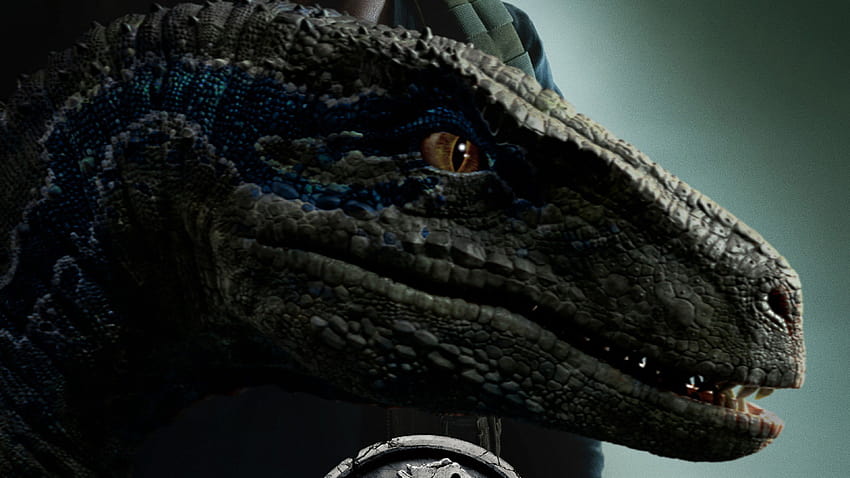 Jurassic World: Fallen Kingdom Raptor 2018 Movie, raptor blue HD wallpaper  | Pxfuel