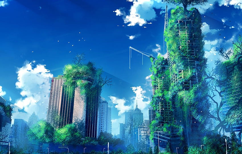 greens, the sky, birds, the city, abandoned, by anonamos, abandoned city HD wallpaper