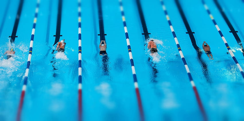 4 Olympic Swimming Pool HD wallpaper