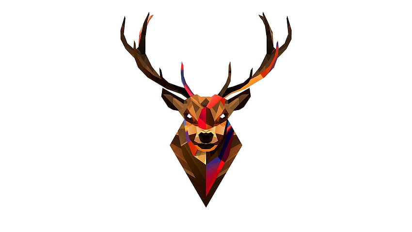 Deer head 3690 [2560x1440] for your , Mobile & Tablet HD wallpaper