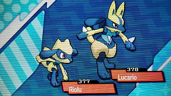 Lucario Riolu Desktop Wallpaper Hippopotas - Fighting - Shiny Giratina  Leonhartimvu Transparent PNG