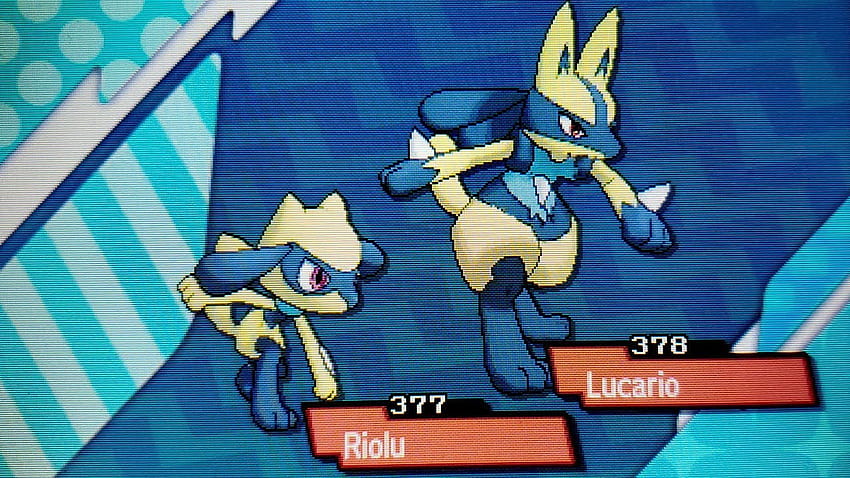 Shiny Lucario, shiny riolu and lucario pokemon HD phone wallpaper