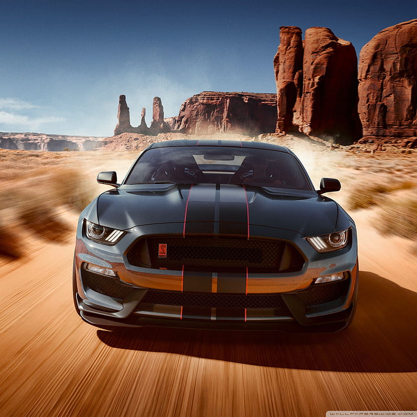 Ford Mustang Shelby GT350 Ultra Backgrounds for : & UltraWide & Laptop : Multi Display, Dual Monitor : Tablet : Smartphone HD phone wallpaper