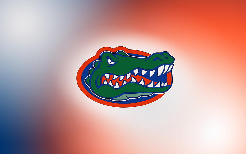 UF Gator, florida gators college football HD wallpaper