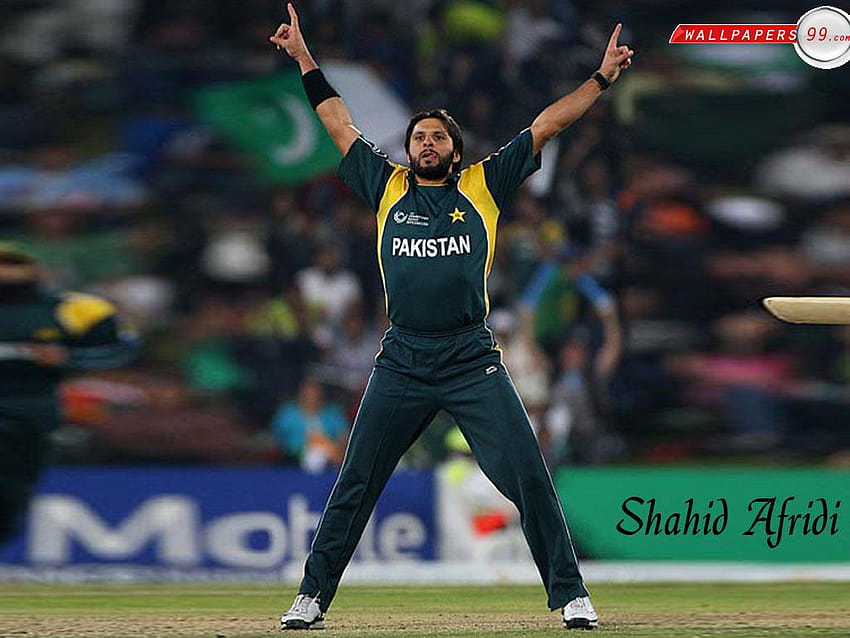 Incrível: jogo de críquete paquistão x índia, índia x paquistão papel de parede HD