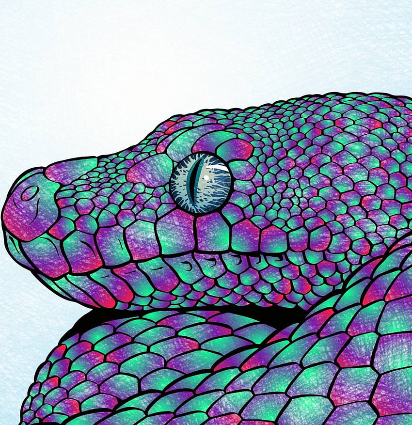 snake by KHProductions, purple snakes HD phone wallpaper