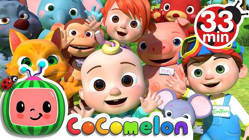 My Name Song, cocomelon HD wallpaper