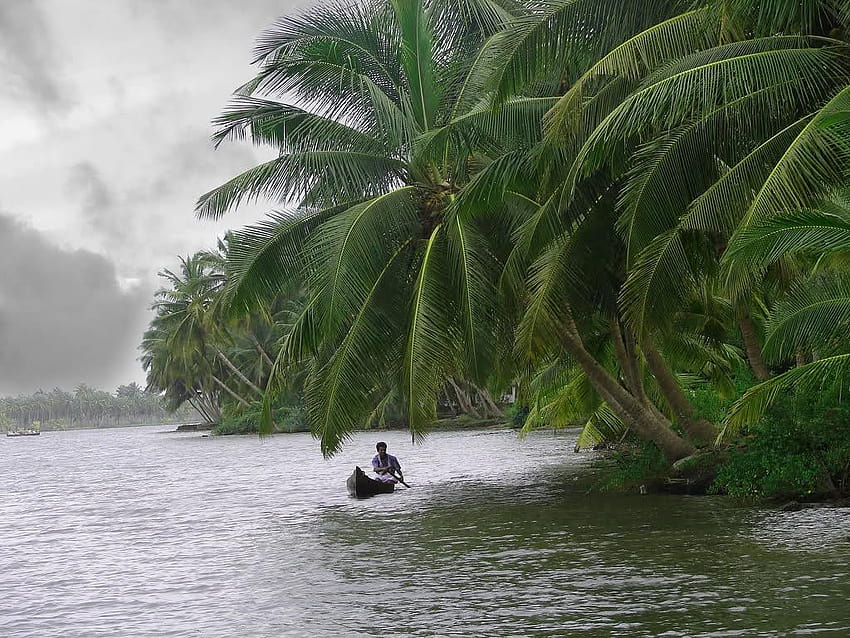 Best Kerala Tour Packages for Family, kerala nature HD wallpaper