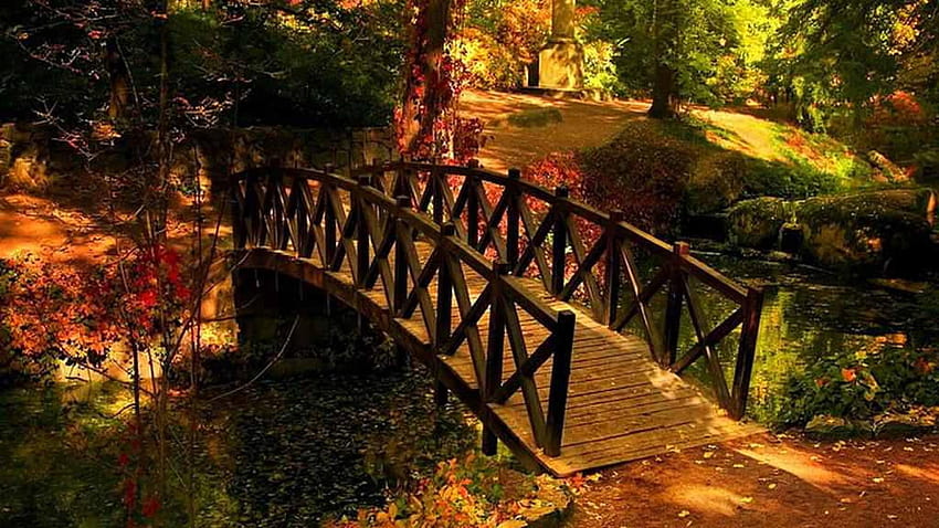 Wooden, Bridge, Trees, River, Path, Autumn, High, Definition, autumn river HD wallpaper