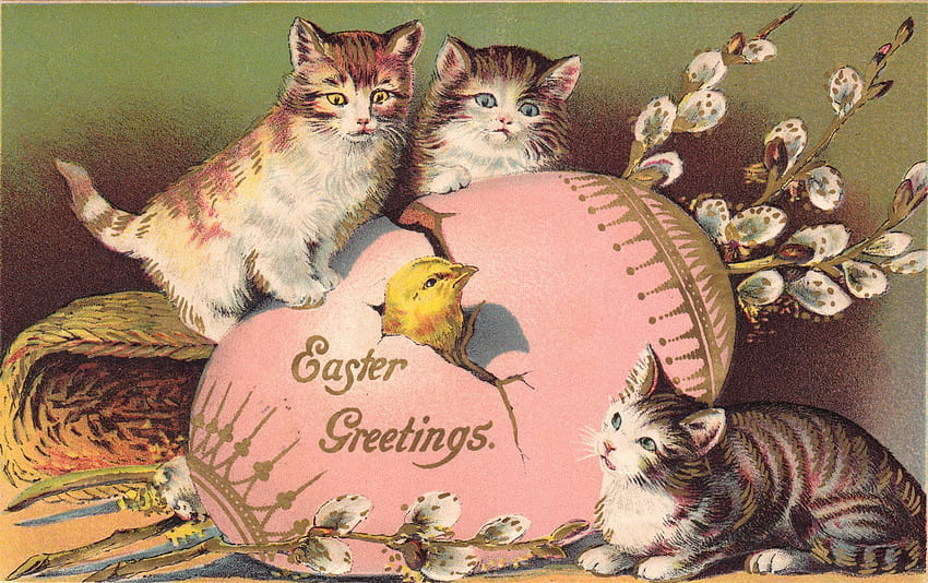 postcard, Paper, Poster, Advertising, Vintage, Retro, Antique, Easter / and Mobile Backgrounds, easter kitttens HD wallpaper