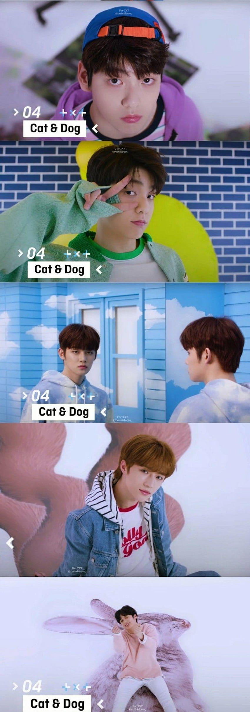 The Dream Chapter: STAR Preview, txt cat dog HD phone wallpaper