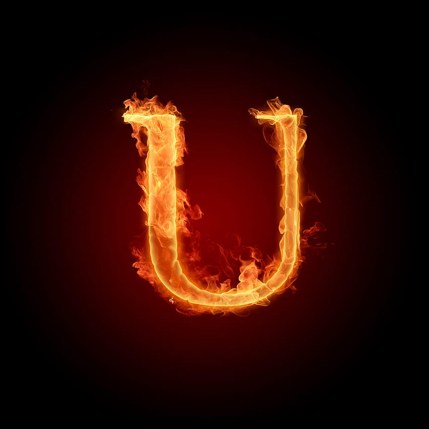 The Letter U The letter U and backgrounds HD phone wallpaper