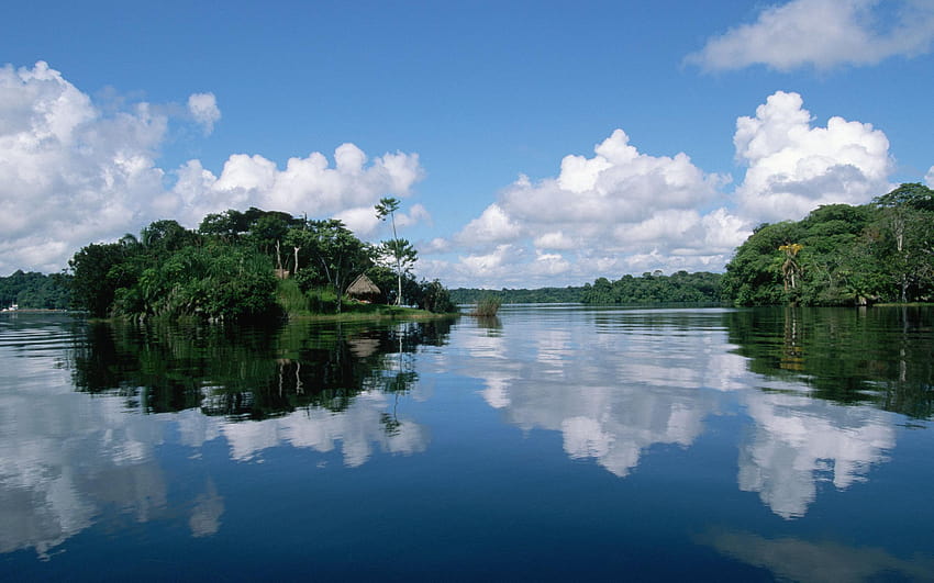 Amazon for Walls, amazon river HD wallpaper