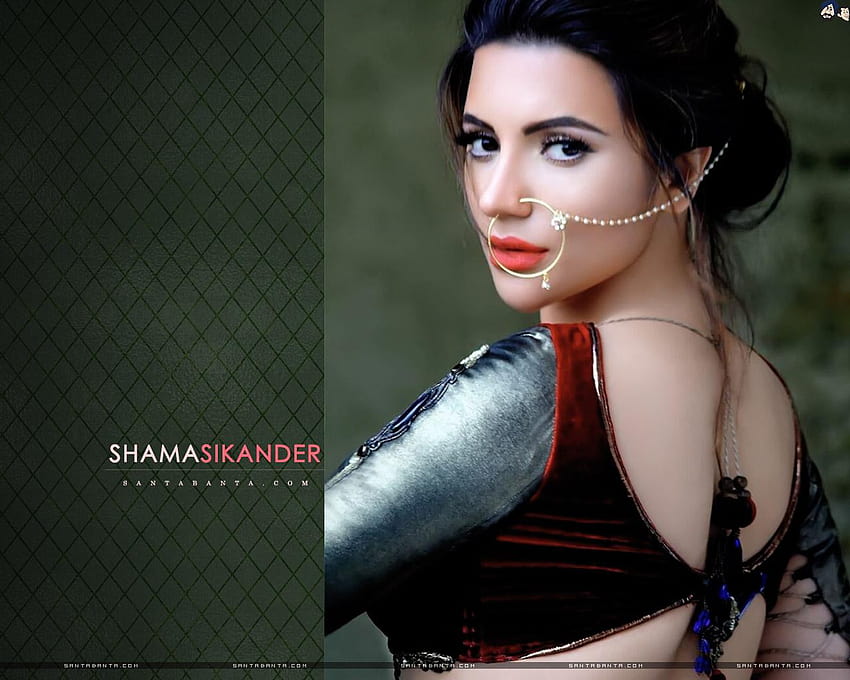 Shama Sikander Hot Pics Photos FilmiBeat