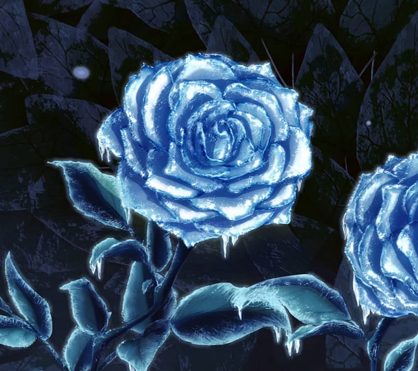 Frost Rose de Silver_PhoenixZ, rosas heladas fondo de pantalla | Pxfuel