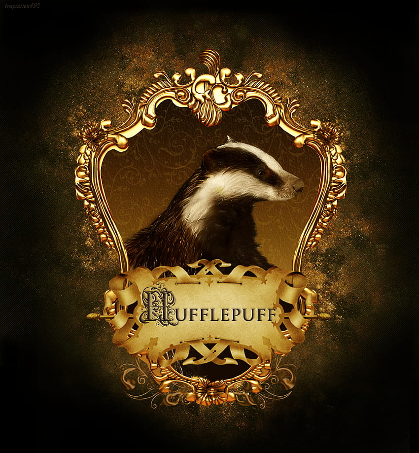 Hufflepuff Wallpaper  NawPic