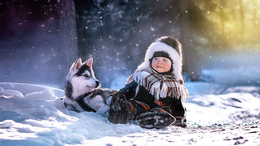 boy, husky, winter, child, puppy, light, dog, section mood in resolution 1920x1080, baby dogs winter HD wallpaper