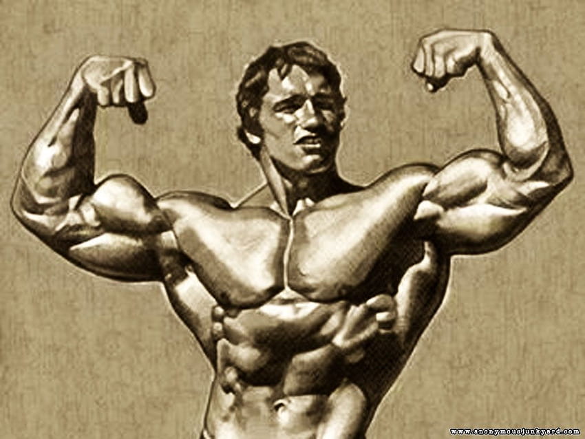 Arnold Bodybuilding, dibujos animados de culturista fondo de pantalla