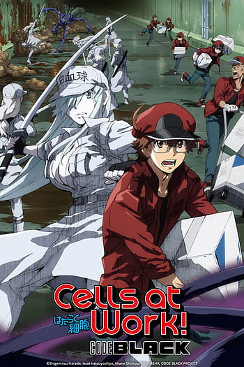 Cells at Work  White blood cells HD wallpaper  Pxfuel