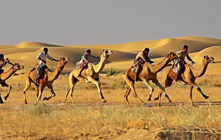 Jaisalmer Taxi Service Cab - Toyota & Cars Background Wallpapers on Desktop  Nexus (Image 2713107)