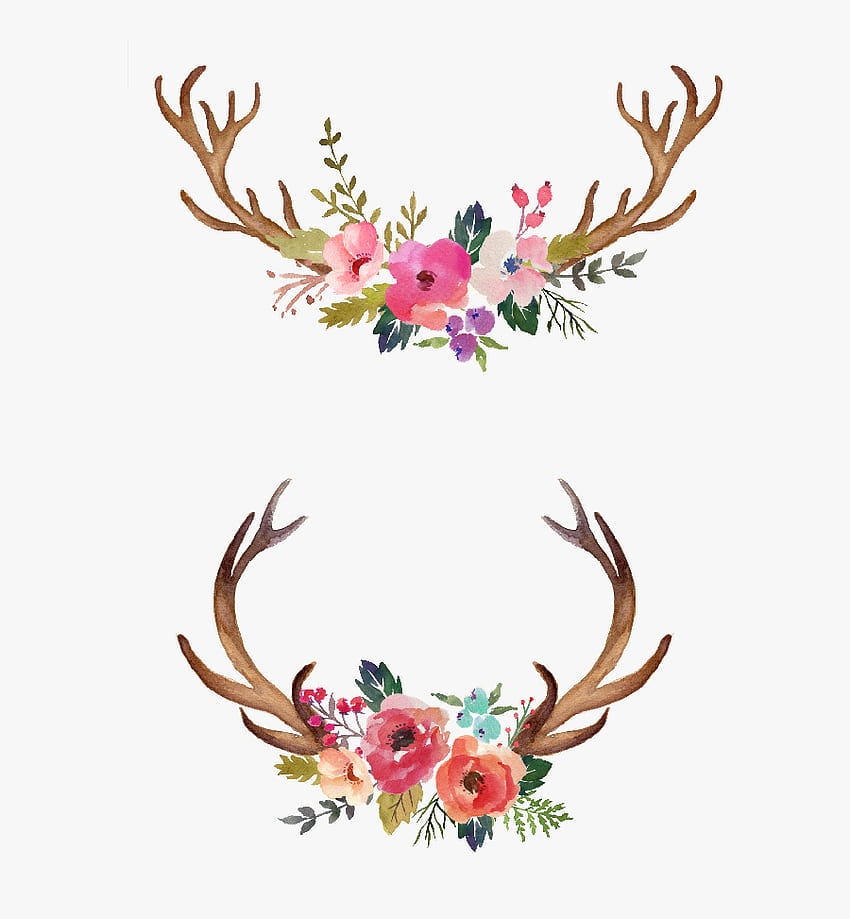 Antlers And Flowers Png, deer antlers with flowers HD phone wallpaper