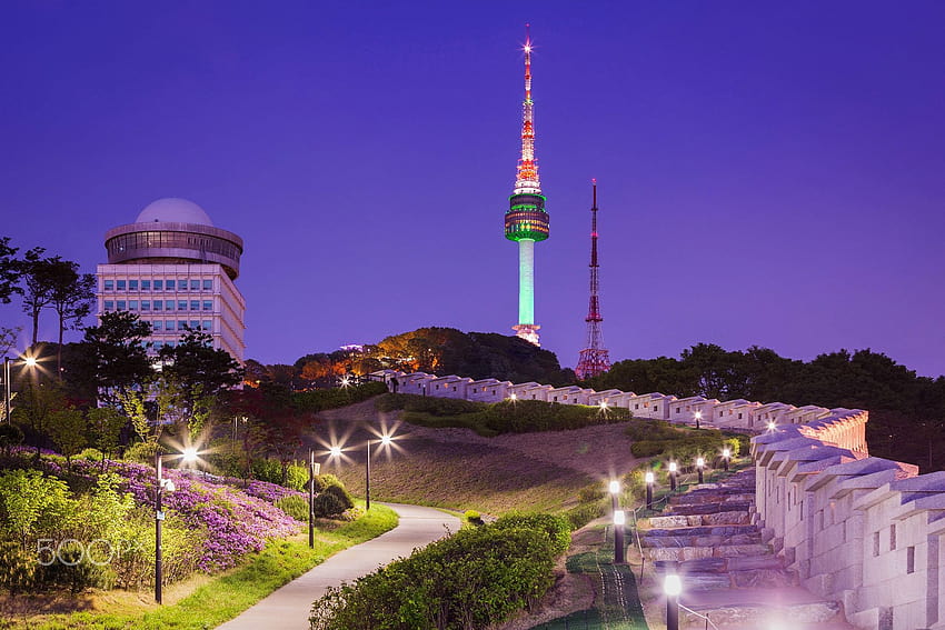 Namsan Park and N Seoul Tower HD wallpaper
