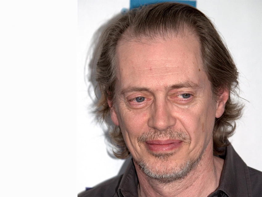 Steve Buscemi HD wallpaper Pxfuel